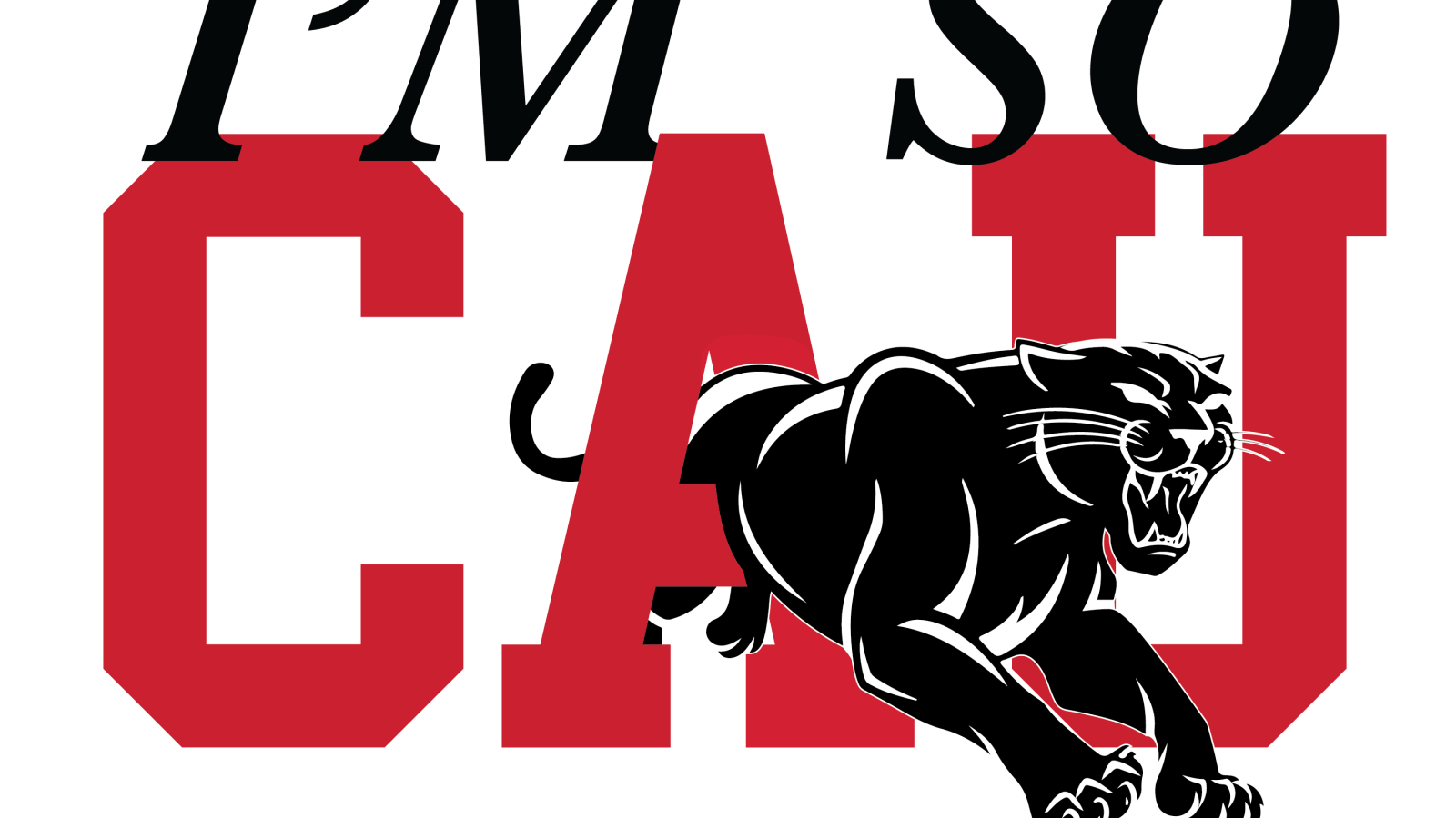 Imsocau Vector Black
